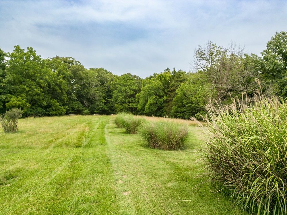 Beautiful land in Jefferson County, MO